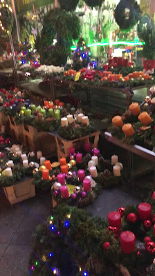 Blumen und Pflanzen Steglitz