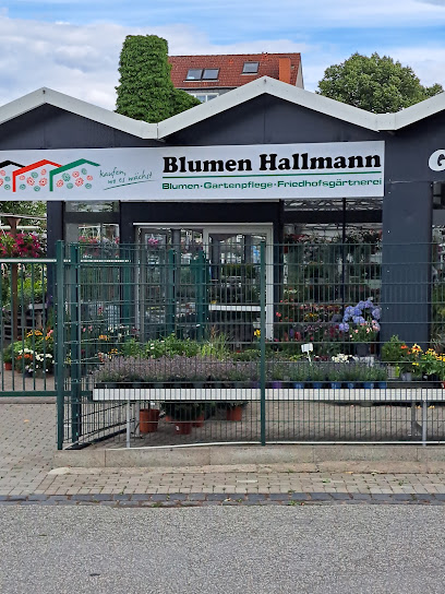 Blumen Hallmann