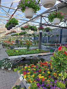 Blumen Hallmann