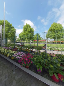 Blumen Hallmann
