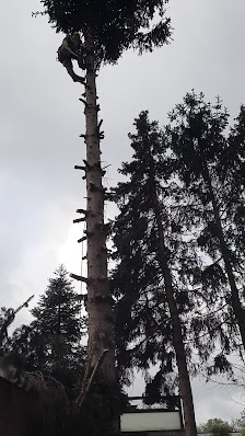 Garten Landschaftsbau Nowak