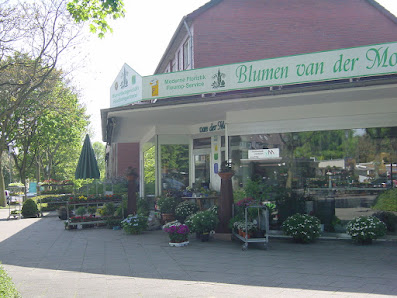 Blumen van der Molen