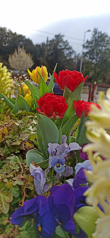 Blumen Kocks - Floristik - Friedhofsgärtnerei - Landschaftsbau