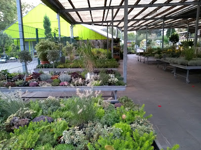 Friedhofsgärtnerei Blumen Lorenz Lueben GmbH