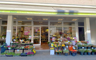 Blumen Risse Blumenladen Essen-Frohnhausen