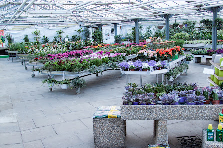 Blumenhof Bieniek GmbH