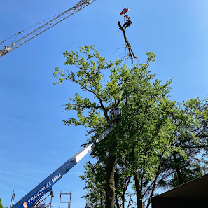 Baum- & Gartenpflege Freudenreich