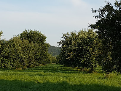 Gärtner in Essen