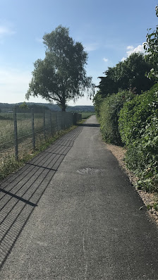 Garten- und Landschaftsbau Neuman