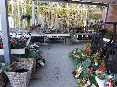 dietz blumen & events