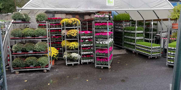 The Flower Company by blumenfrank GmbH