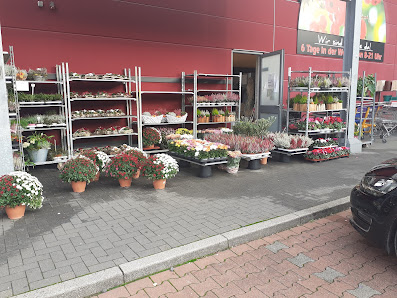 Blumen Gebr. Spangenberg Gladbeck