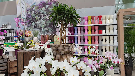 Schley's Blumenparadies | Gelsenkirchen