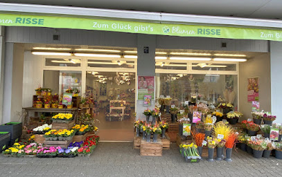 Blumen Risse Blumenladen Gelsenkirchen-Horst
