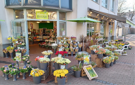 Blumen Risse Blumenladen Essen-Altenessen