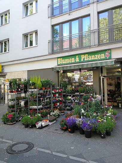 Blumen & Pflanzen