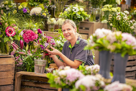 Blumen Risse Blumenladen Essen-Holsterhausen