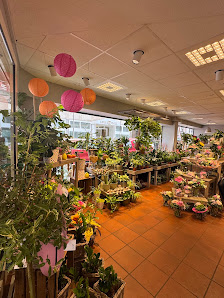 Blumen Risse Blumenladen Dortmund-Kaiserviertel