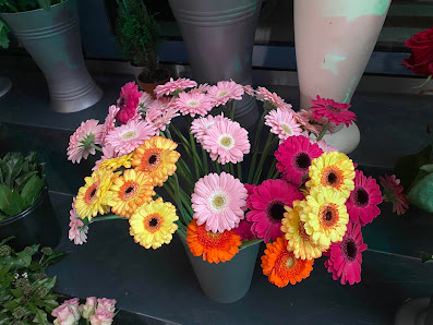 Blumen Hoffmann