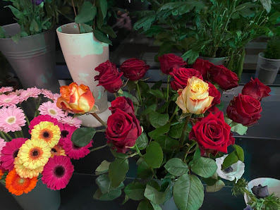 Blumen Hoffmann