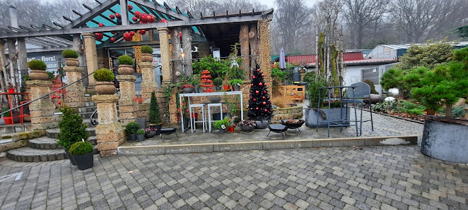 Schwerter Orchideenzucht