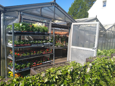 Blumen Zappe