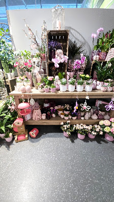 Blumen Wolframm Gmbh