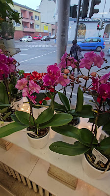 Vingster Blumenecke
