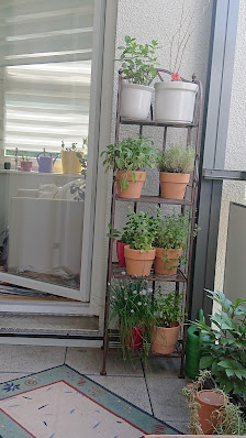 Pluta Gartencenter Dahlem