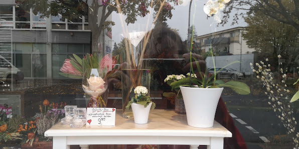 Blumen Iburg