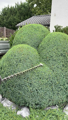 Henkel Garten & Landschaft