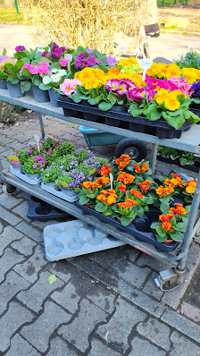 Gisela Roßkopf Blumen + Gartenbau