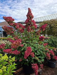 Gartencenter Selbach Bergisch Gladbach