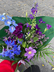 Blumen Wunder - Frankfurt am Main