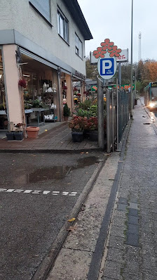 Gartenbau und Gärtnerei Blumen Woller