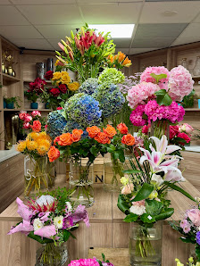 A+A Blumen Meister GmbH