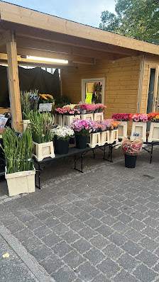 Flowers Wonderland