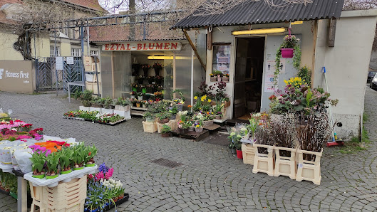 Ezyal Blumen