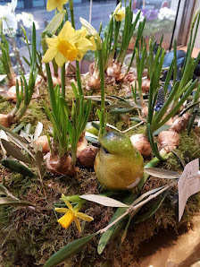 Stil + Blüte