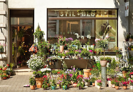 Stil + Blüte