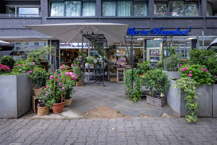 Alice im Blumenland GmbH