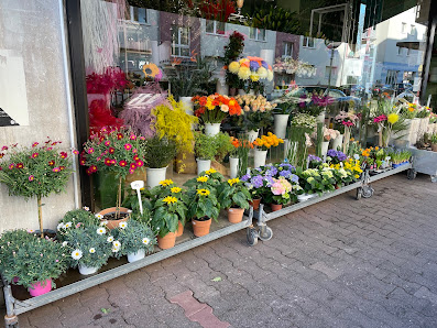 Blumen Ursprung