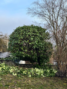 Gartenkollektiv