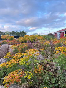 Gartenkollektiv