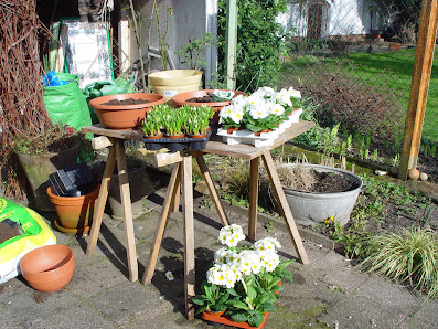 blumenwerkstatt frankfurt