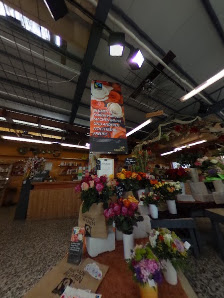 Blumen-Hecktor