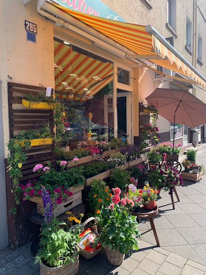 Zauber Blumen