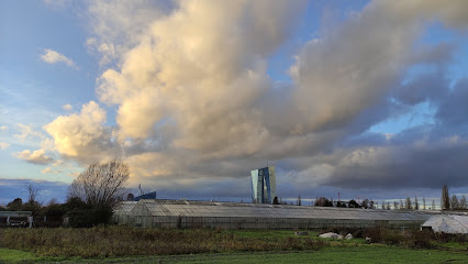 Baumschule