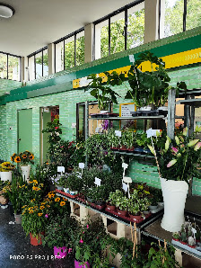 Blumengeschäft Fred Richardt