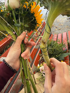 Cutin Blumen